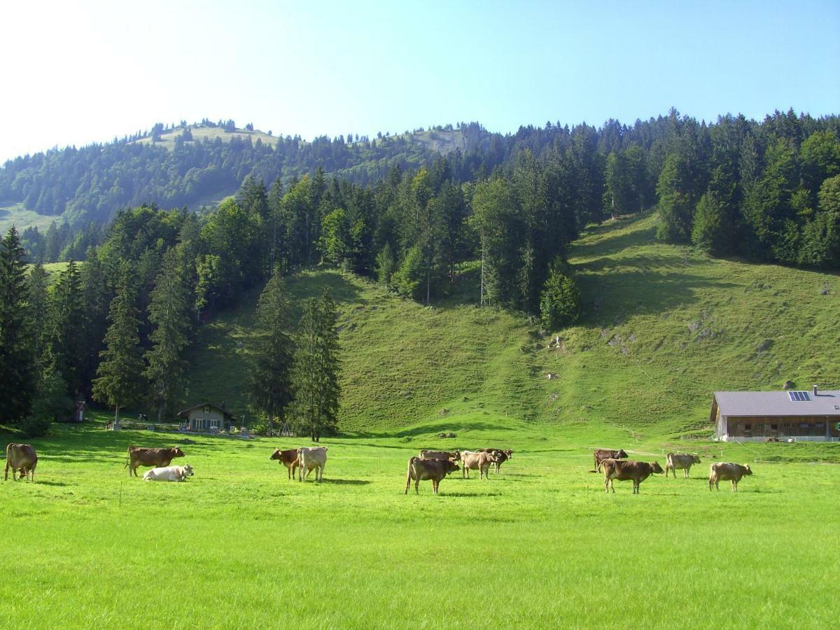 Gaestehaus Lutz Mellau Zewnętrze zdjęcie
